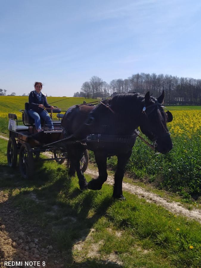 Veritable Roulotte Hippomobile "La Bailleul" Mentheville Εξωτερικό φωτογραφία